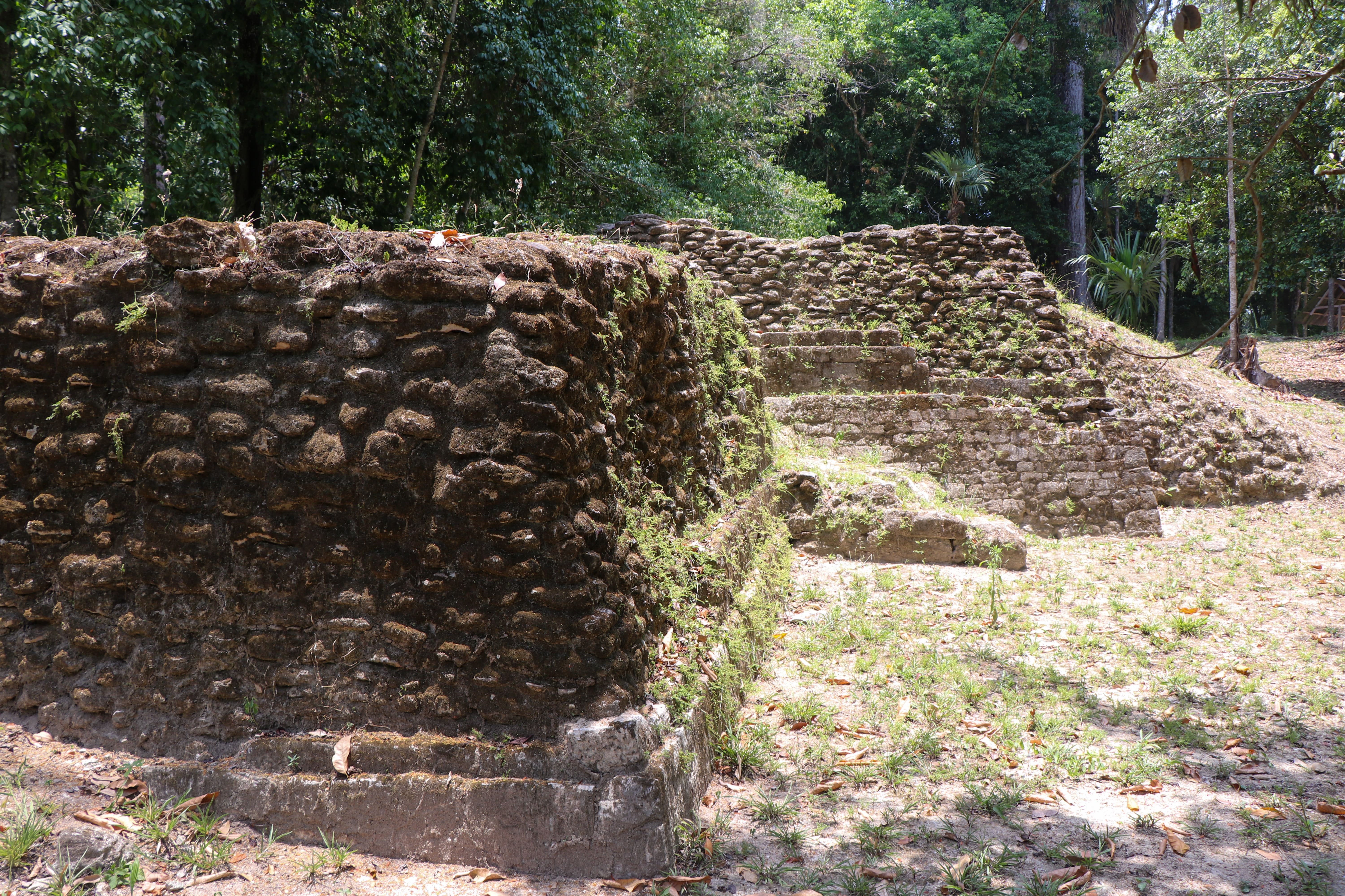 LA JOYANCA