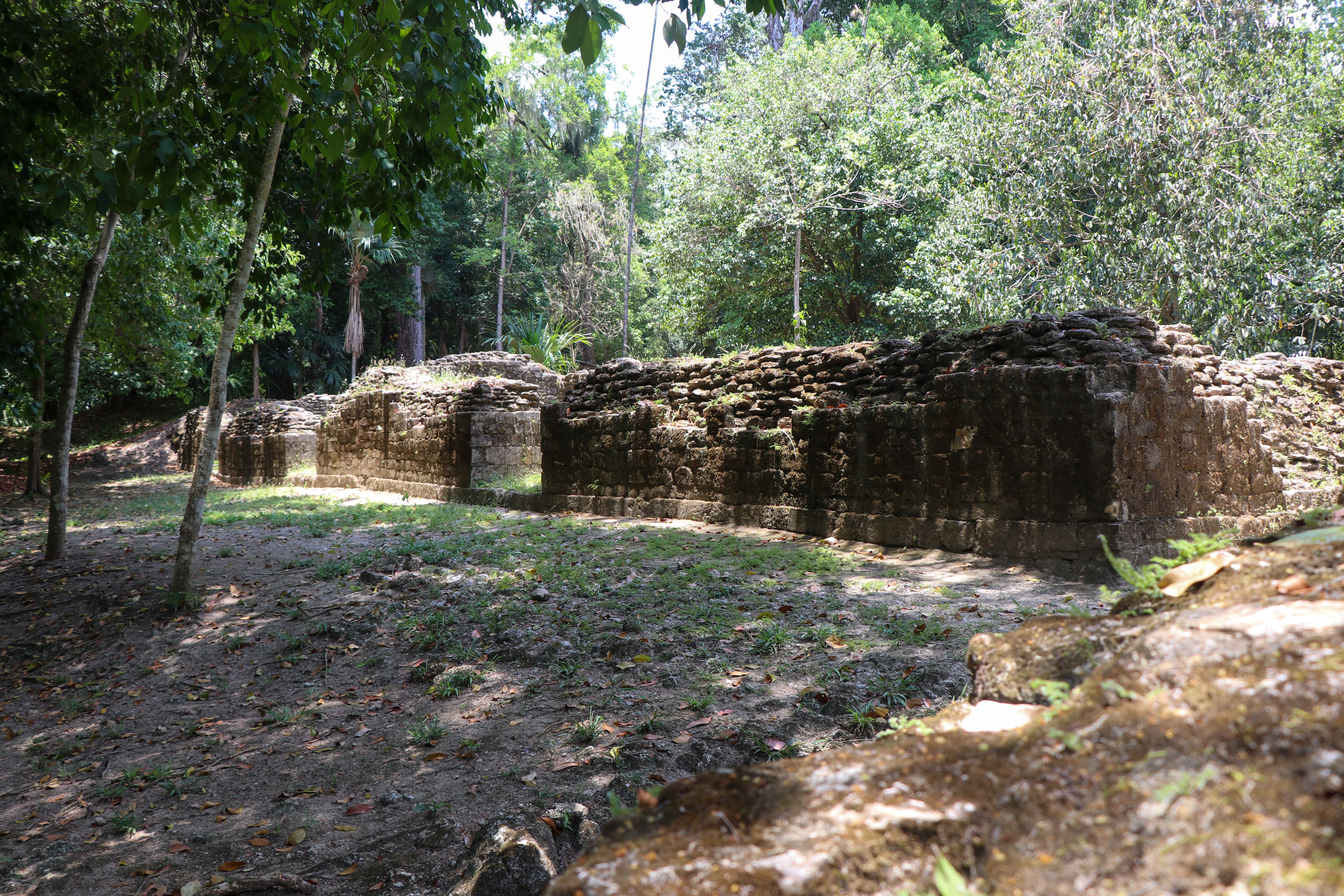 LA JOYANCA